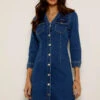 Indigo V Neck Button Front Denim Dress