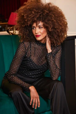 Black Sparkle Mesh High Neck Top