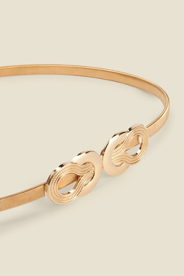 Gold Round Link Waist Belt - Image 4